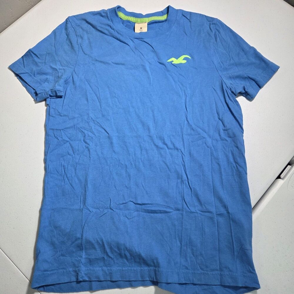 ​Vintage Hollister Bright Blue Short Sleeve T-Shirt Green Bird Logo Men's